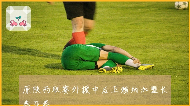 原陕西联赛外援中后卫赖纳加盟长春亚泰