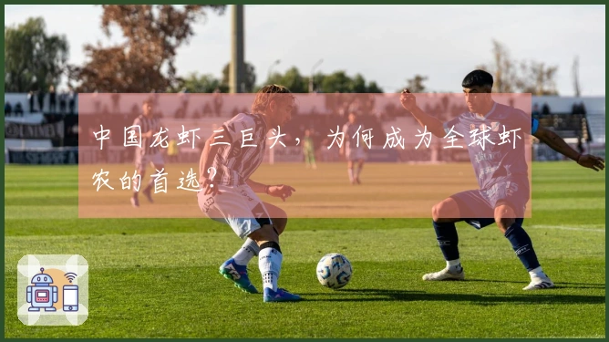 中国龙虾三巨头，为何成为全球虾农的首选？