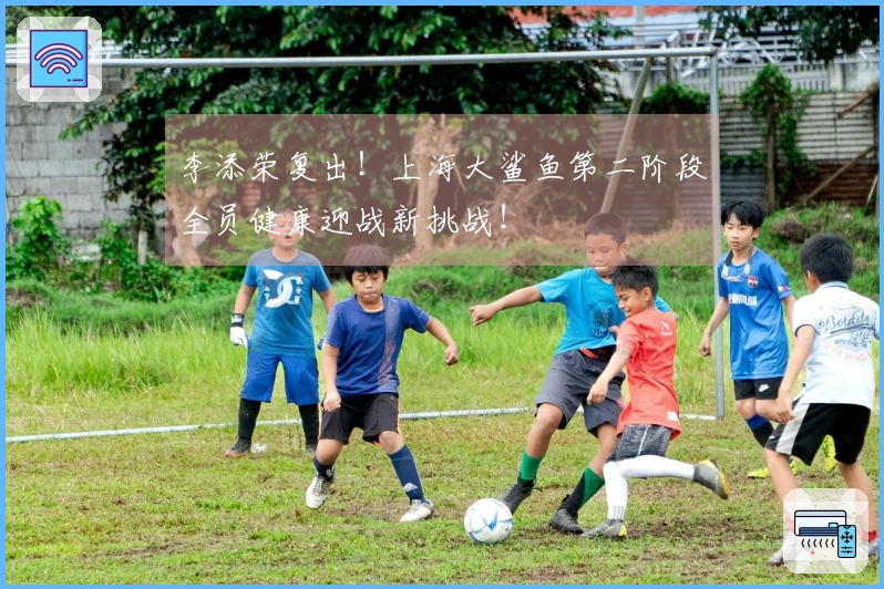 李添荣复出！上海大鲨鱼第二阶段全员健康迎战新挑战！