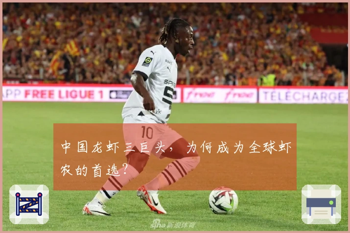 中国龙虾三巨头，为何成为全球虾农的首选？