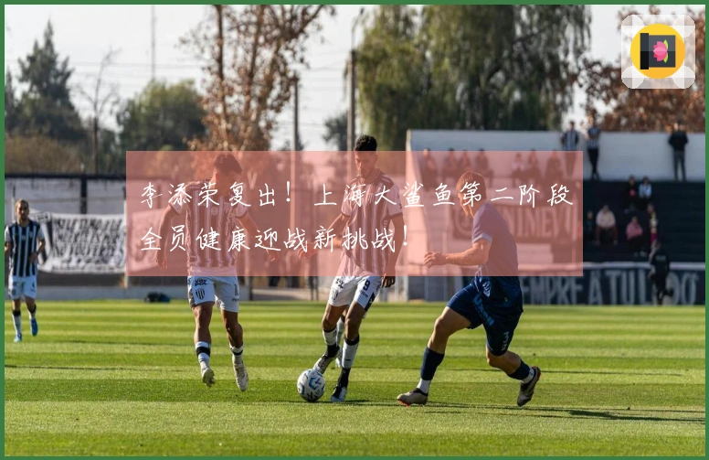 李添荣复出！上海大鲨鱼第二阶段全员健康迎战新挑战！